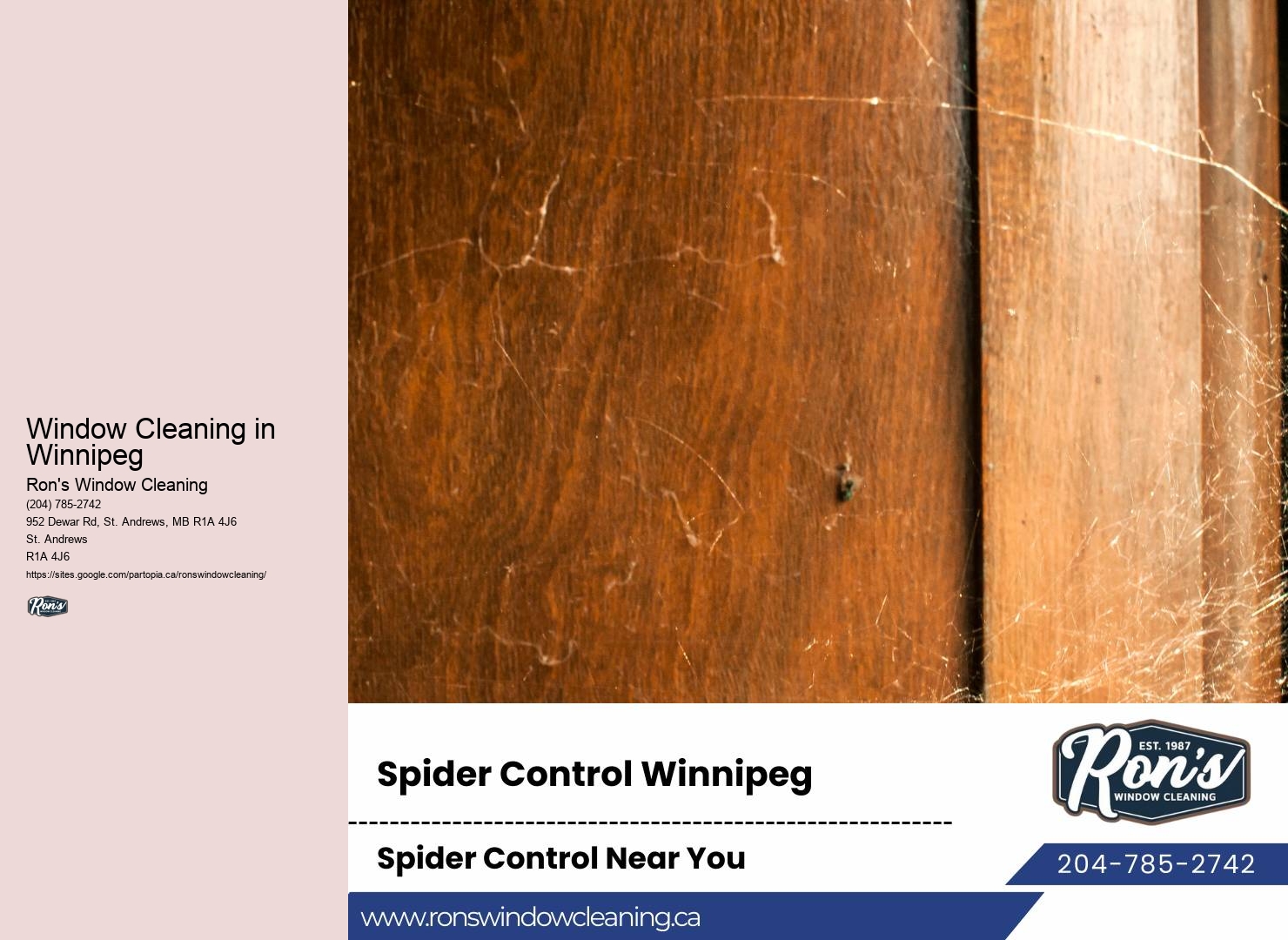 Local window cleaning services Winnipeg
