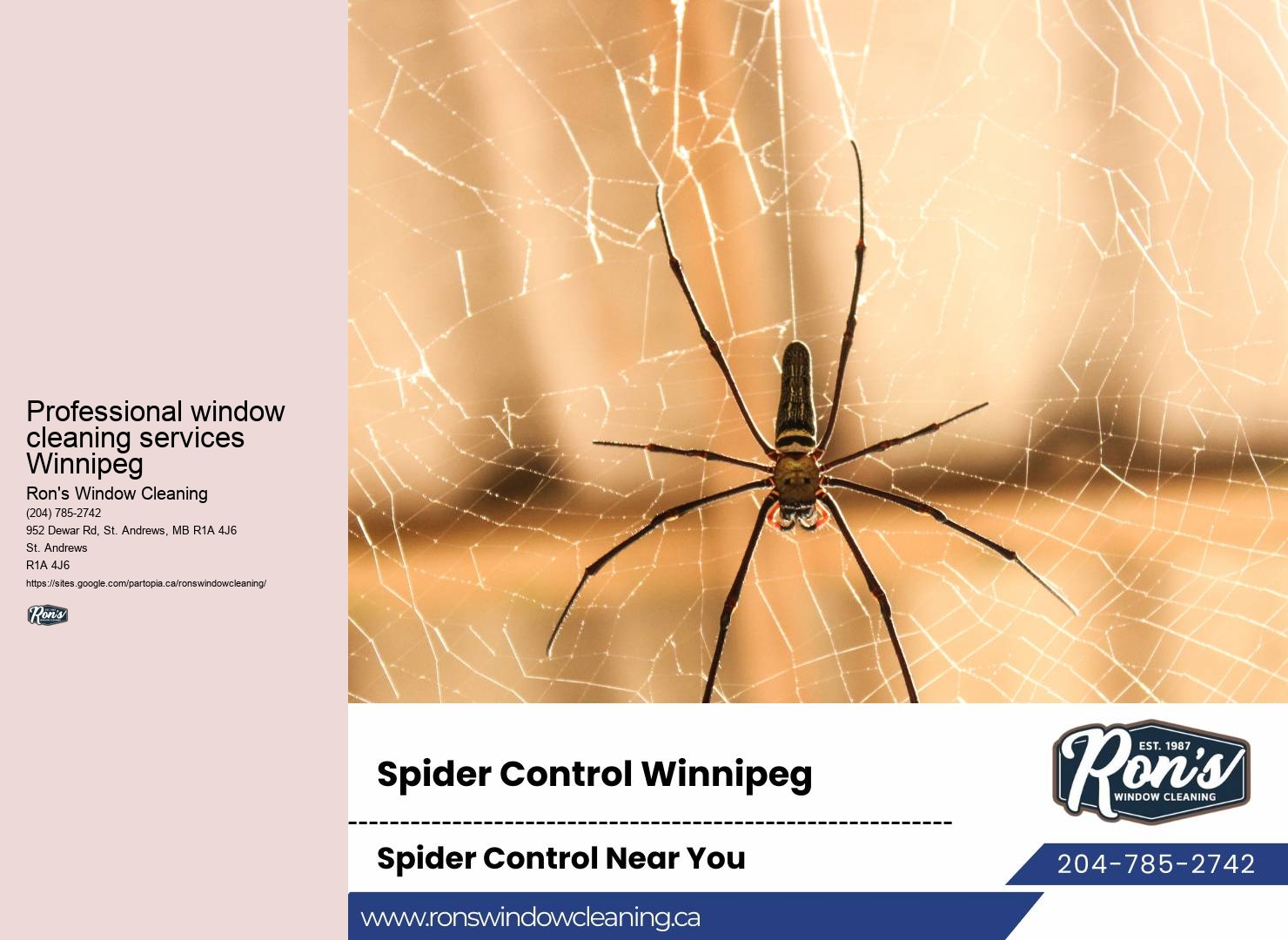 Best-rated window cleaners Winnipeg