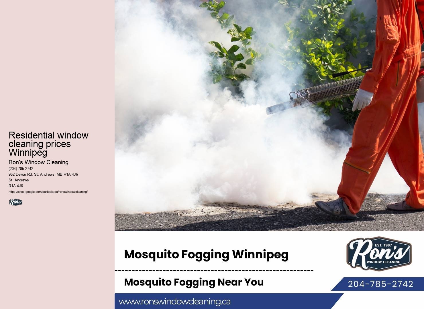 Professional window washing Winnipeg