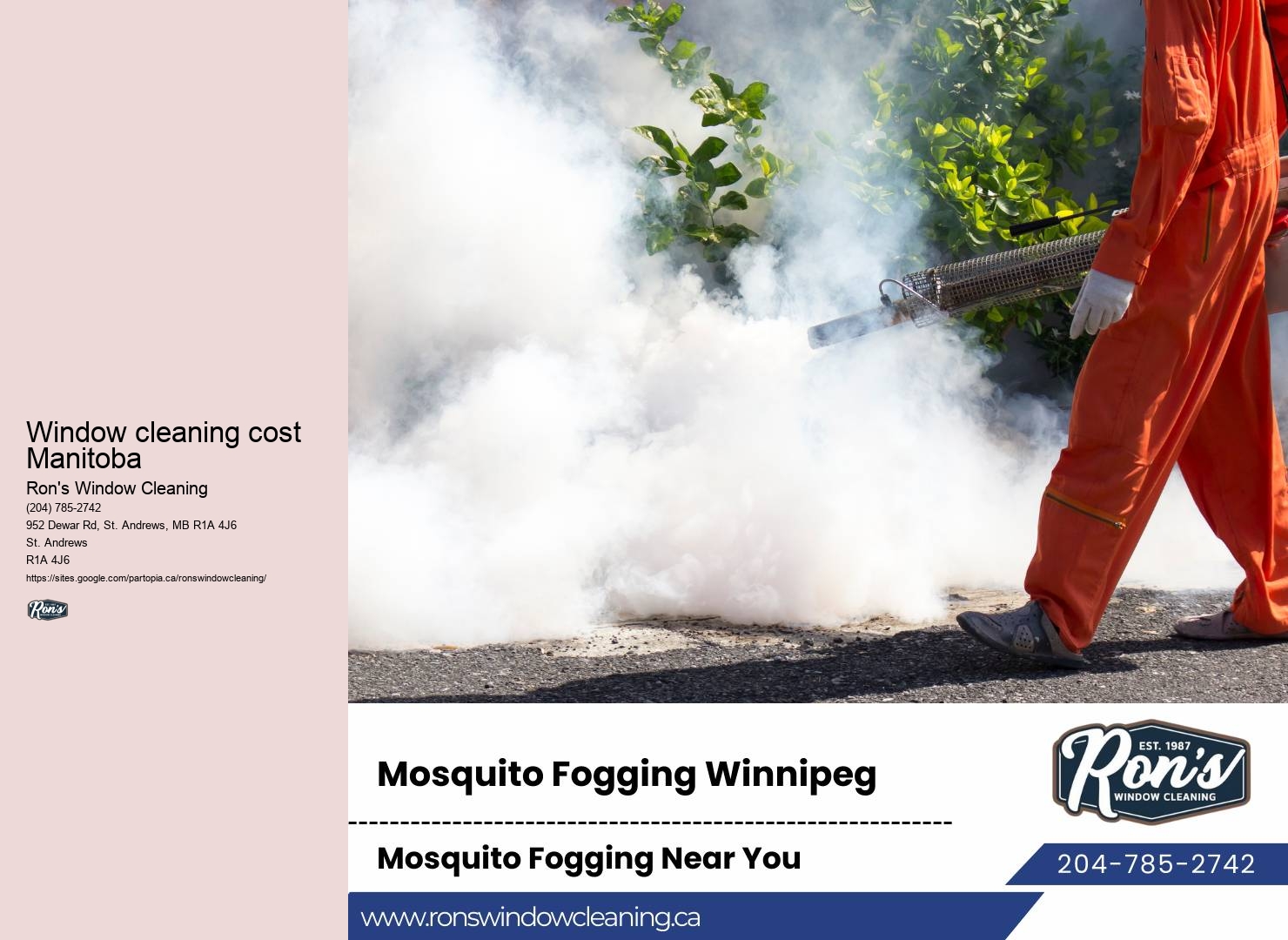 Squeegee window washing services