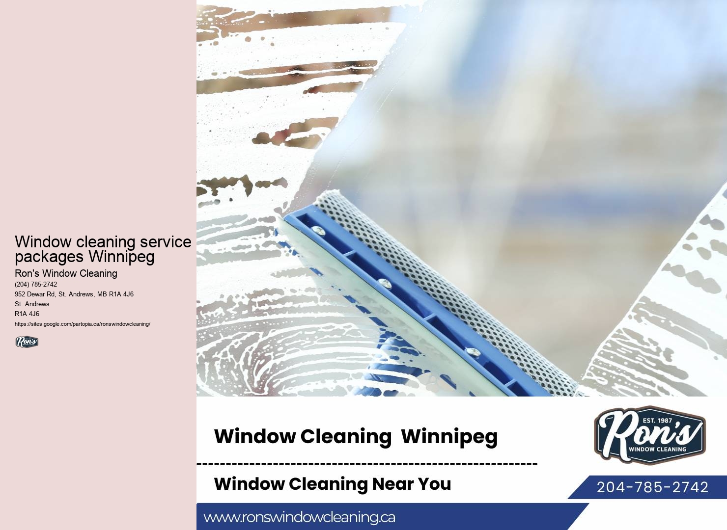 Winnipeg window washing professionals