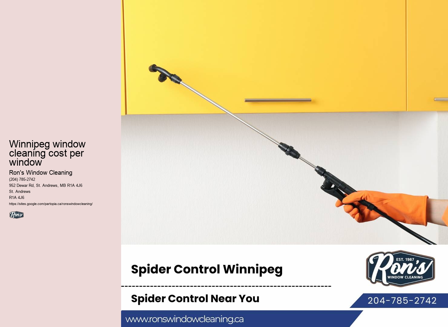 Winnipeg commercial window services