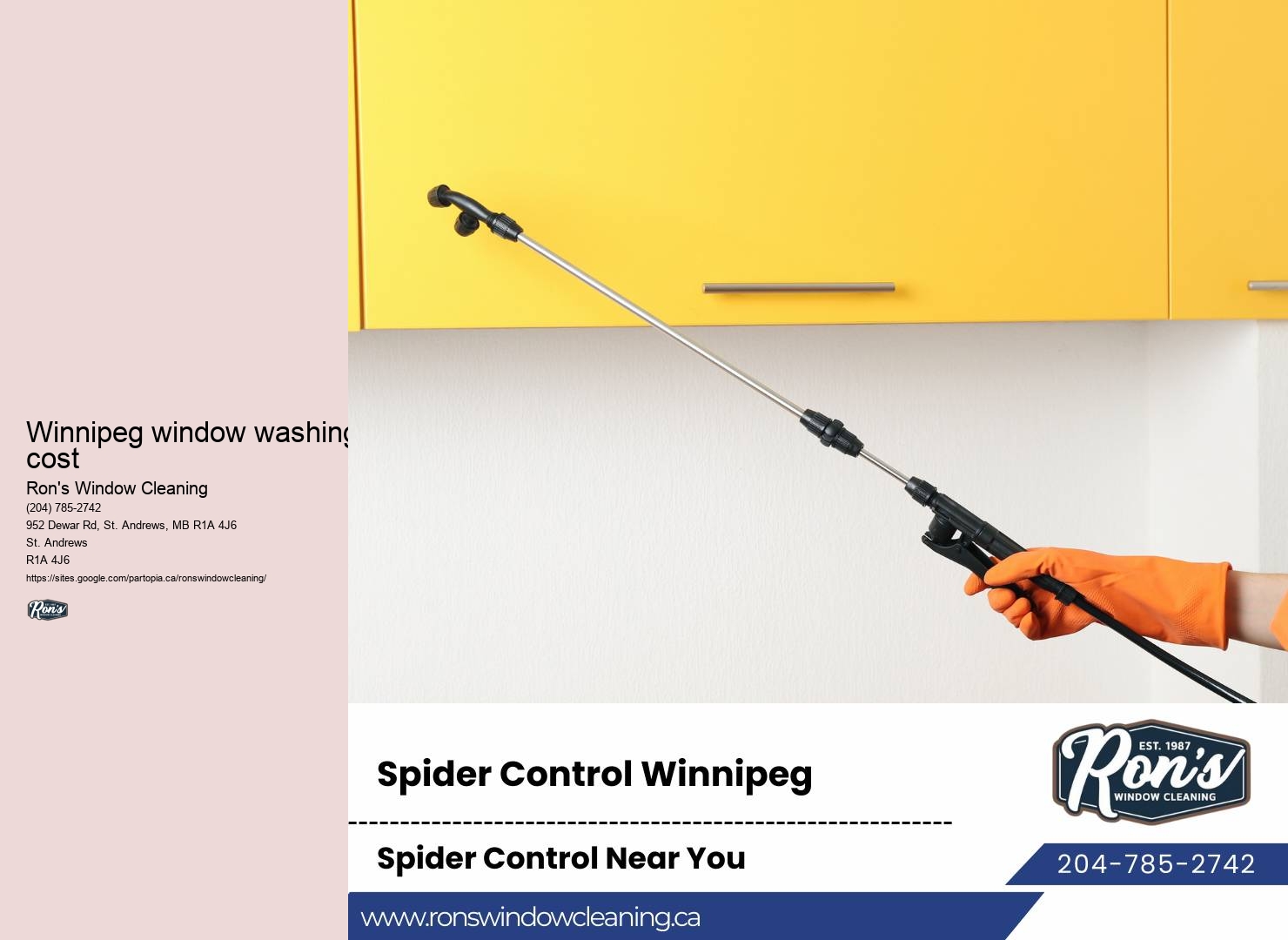 Power Washing And Window Cleaning Near Me
