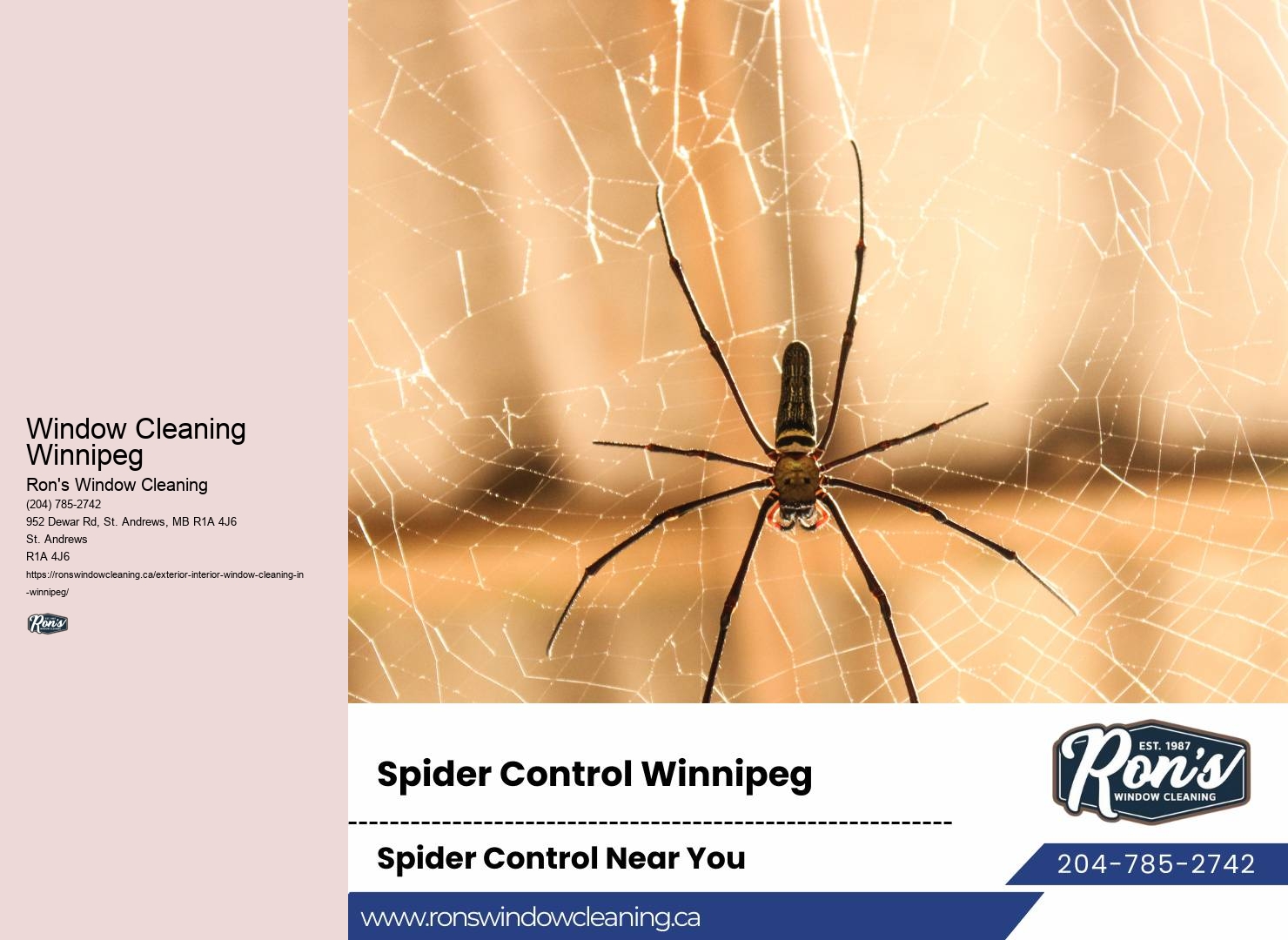 Window Cleaning Appointment Window Cleaning Winnipeg