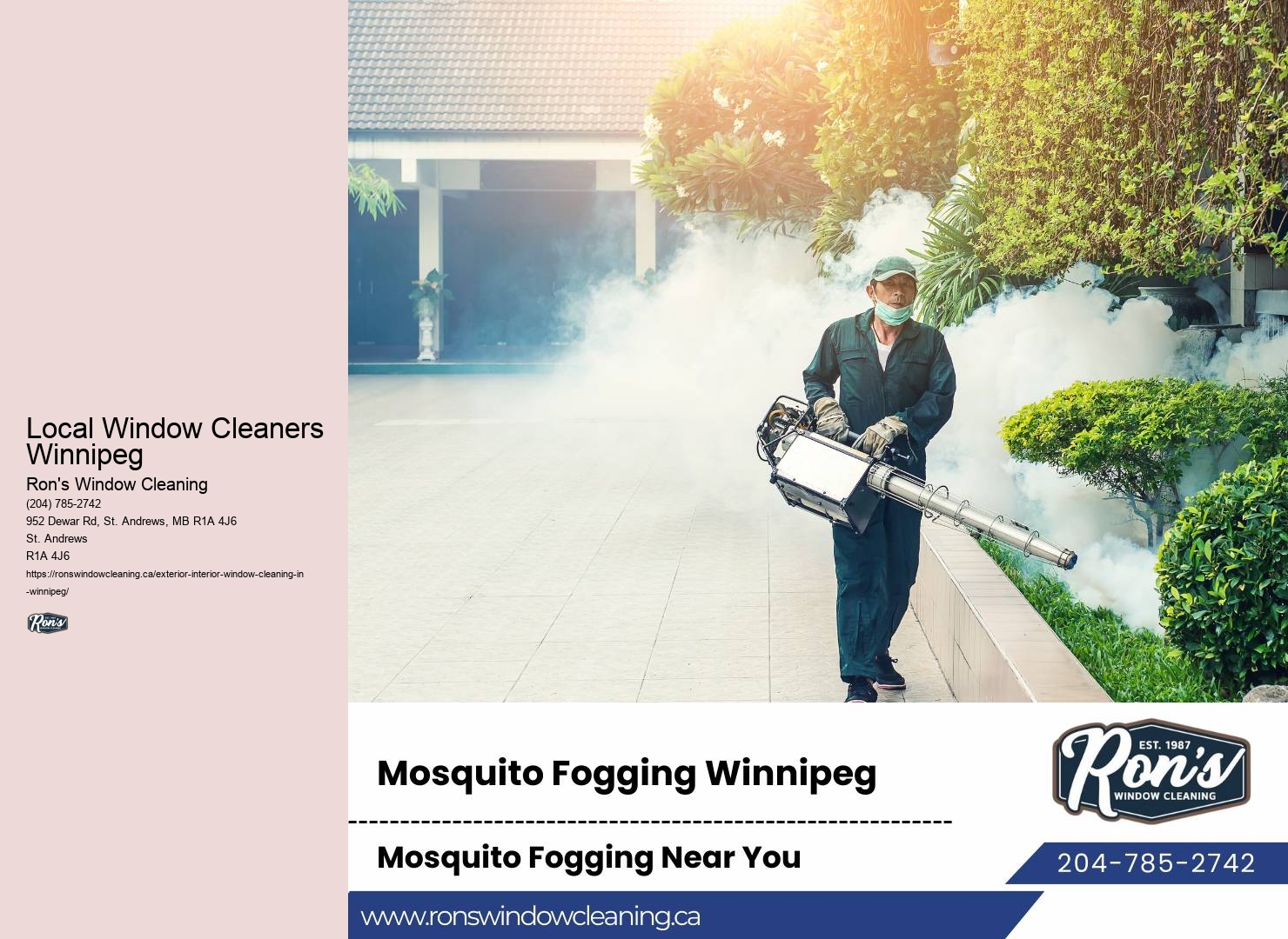 Local Professional Window Cleaners Local Window Cleaners Winnipeg