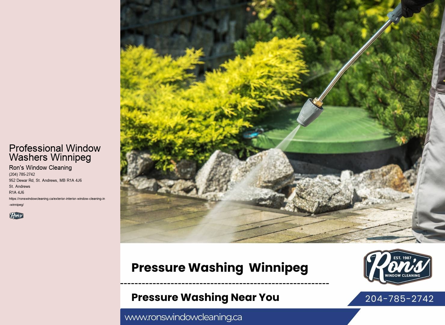 Professional Window Washers Winnipeg Window Cleaning Guide