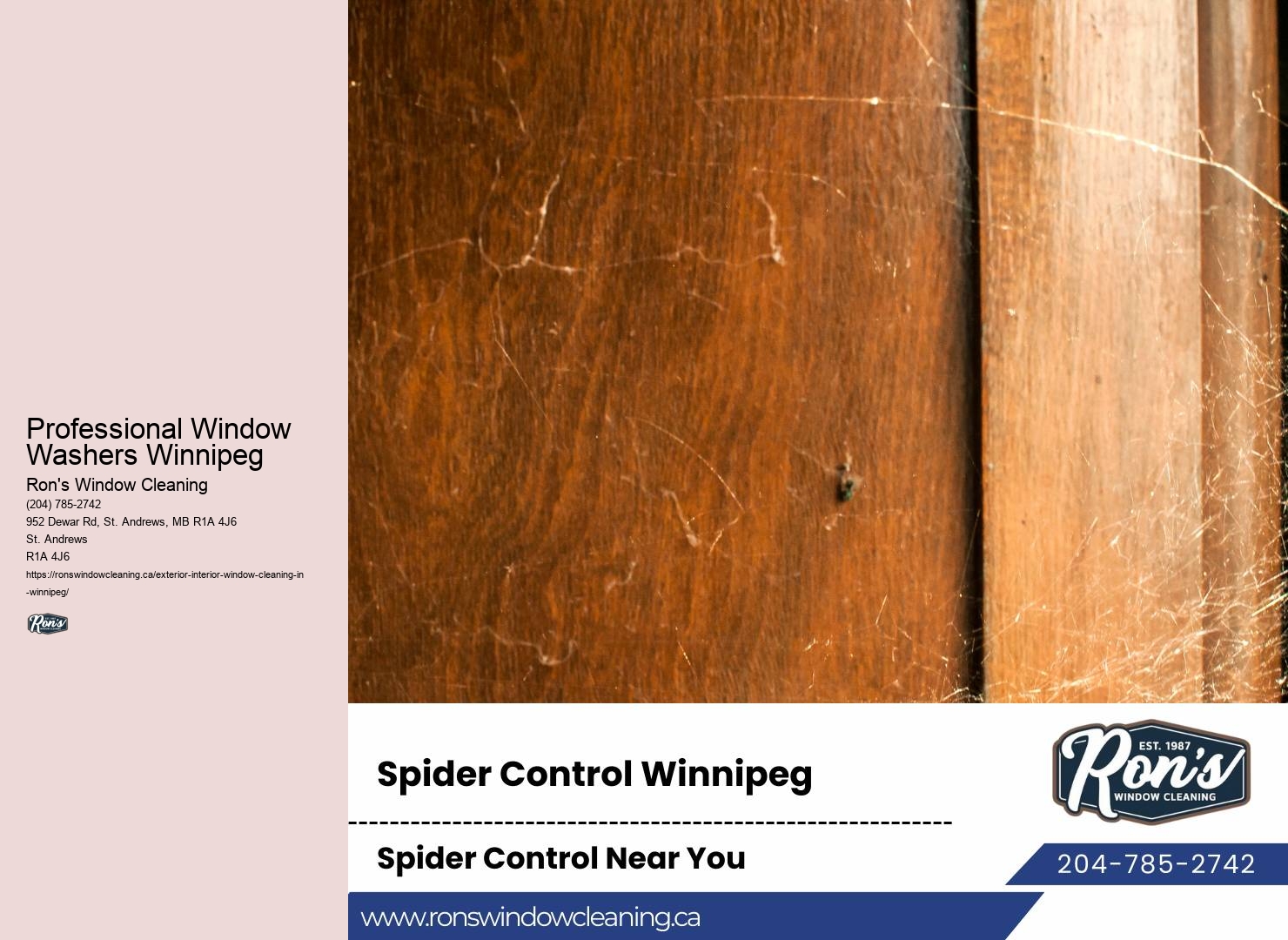 Professional Window Washers Winnipeg Window Washing Contractors