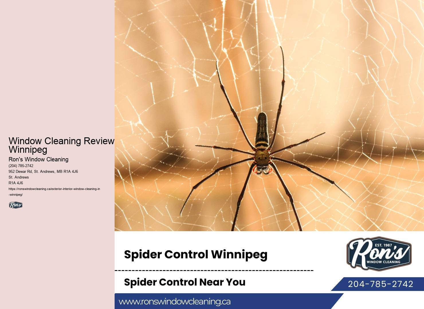 Window Cleaning Hacks Window Cleaning Reviews Winnipeg